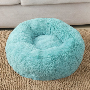Turquoise donut-shaped pet bed on a beige carpet with a light gray couch in the background at Pet Servo