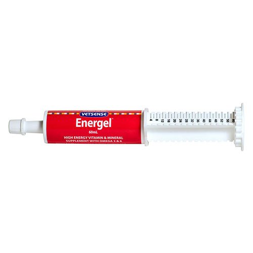 Vetsense Energel syringe on a white background at Pet servo