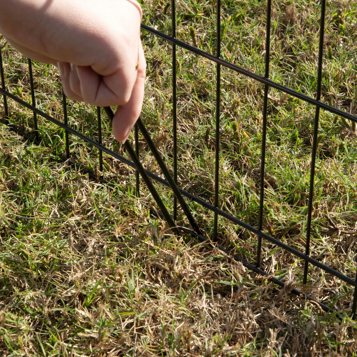 Hand reaching through a wire fence into a grassy area