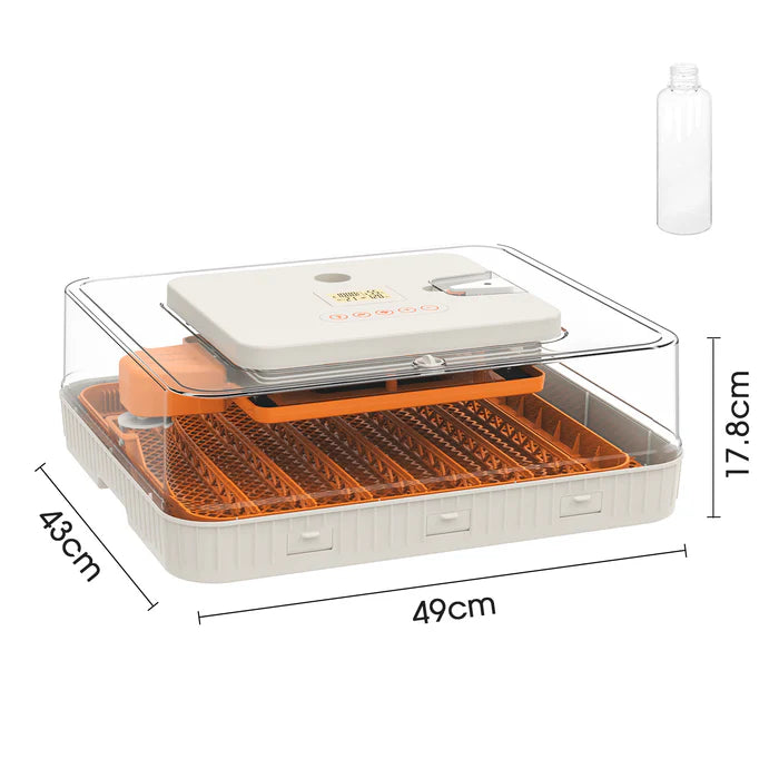 Hatchery with dimensions labeled on a white background
