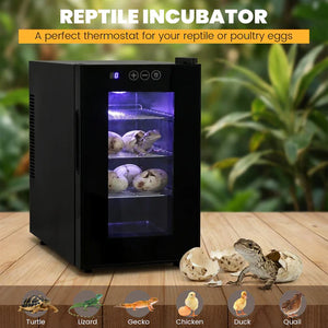 Reptile incubator with digital display on a wooden surface, surrounded by greenery at Pet Servo