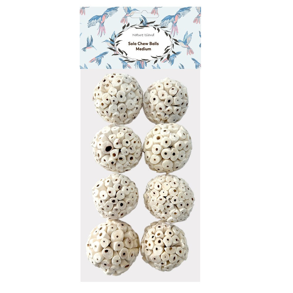 Pack of 8 medium-sized seed cane beads with a decorative header card featuring a blue and pink bird illustration at Pet Servo