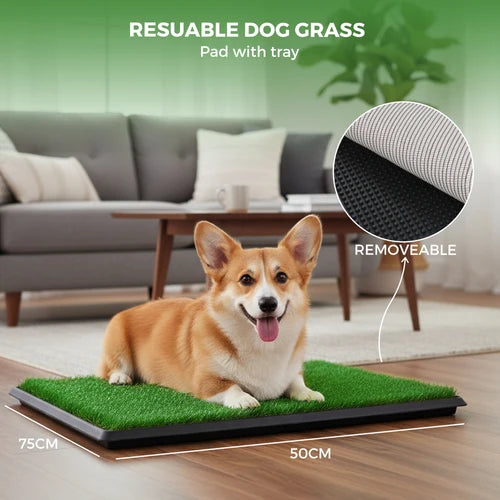 A corgi lies on a green dog grass pad with a black tray in a living room setting. White text at the top reads 'RESUABLE DOG GRASS Pad with tray,' and the image includes a circular inset showing the textured underside and the words 'REMOVEABLE at Pet Servo