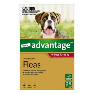 Elanco Advantage flea treatment packaging for dogs with a dog on a grassy background