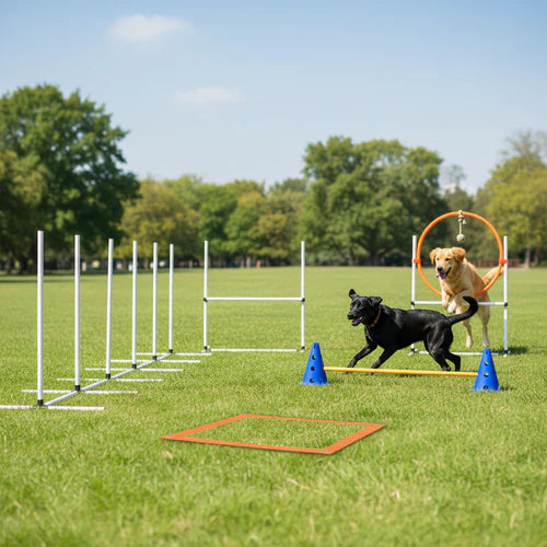Two dogs running through an agility course on a grassy field with trees in the background at Pet Servo