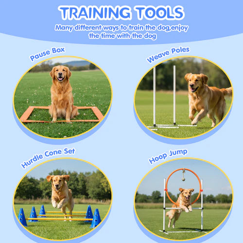 Dog training tools including a pause box, weave poles, hurdle cone set, and hoop jump on a grassy field at Pet Servo