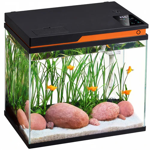 Fish tank with plants, rocks, and fish on a white background at Pet Servo