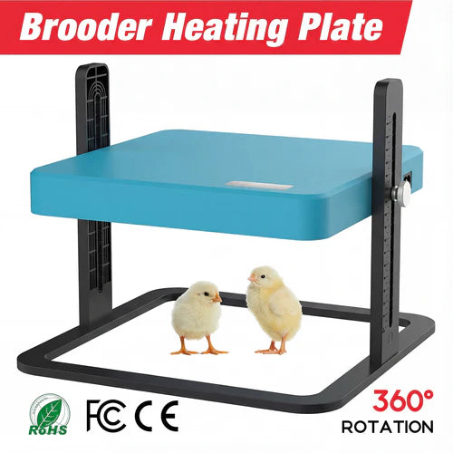Brooder heating plate with two chicks on a white background, featuring certification logos and text at Pet Servo