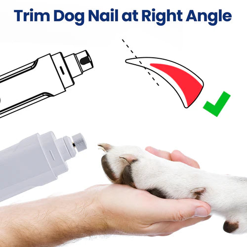 Dog nail trimmer with instructions on trimming dog nails at a right angle at Pet Servo