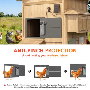 An electric chicken coop door with a gray anti-pinch safety mat and motion sensor, shown mounted on a wooden coop. The top half shows chickens in a grassy field, and the bottom half has an infographic explaining the anti-pinch protection mechanism with text at Pet Servo