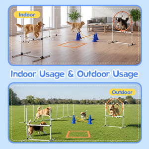 Dog agility training equipment shown indoors and outdoors with dogs using it at Pet Servo
