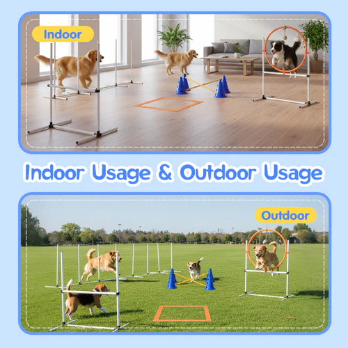 Dog agility training equipment shown indoors and outdoors with dogs using it at Pet Servo
