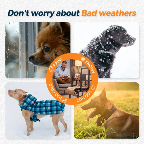 Promotional collage for a dog winter coat with four panels showing dogs in different weather: rain, snow, indoors in the rain, and outdoors in the snow and grass. Large text at the top reads 'Don't worry about bad weathers at Pet Servo