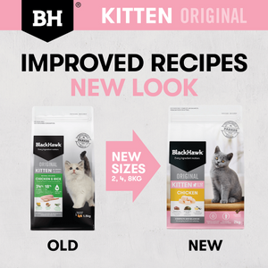 Black Hawk - Original Chicken Dry Kitten Food 2kg - Petservo