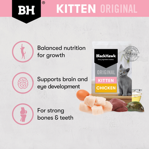 Black Hawk - Original Chicken Dry Kitten Food 2kg - Petservo