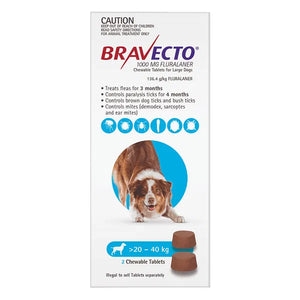 Bravecto packaging for large dogs with a dog illustration on a white background