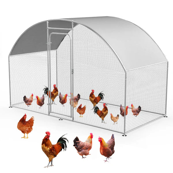 Chicken coop with chickens on a white background at Pet Servo