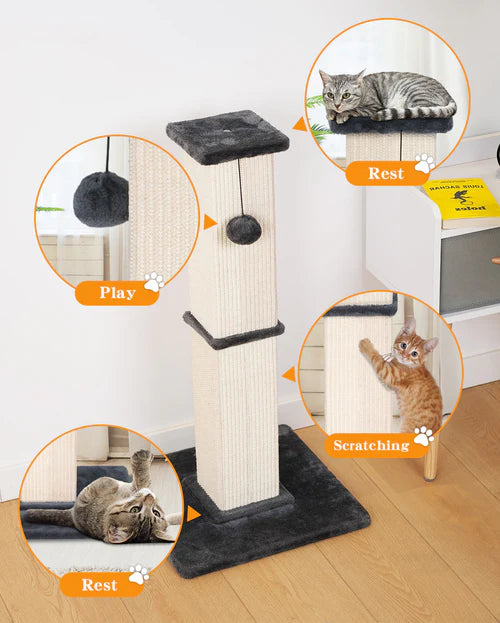 Cat scratching post with multiple functions on a wooden floor at Pet Servo