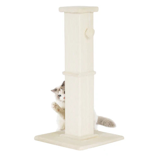 Cat climbing a white cat tree on a white background at Pet Servo