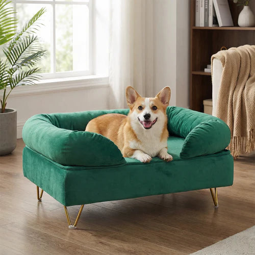 Dog lying on a green pet bed in a cozy living room at Pet Servo