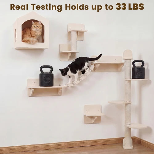 A wall-mounted cat climbing and play set in a real room, shown with two cats using it. The set includes a house-shaped cat bed with an orange cat inside, multiple light wood shelves and platforms, a sisal-covered vertical post, and black kettle-shaped weights used for testing at Pet Servo