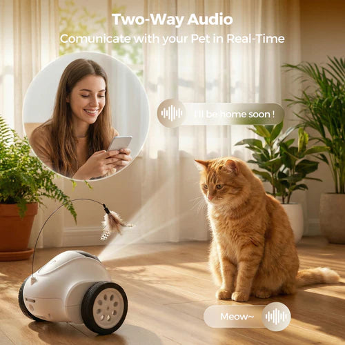 Cat interacting with a pet communication device, with a woman on a video call in the background at Pet Servo