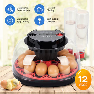 Egg incubator with 12 eggs on a wooden surface, featuring automatic temperature control and humidity display at Pet Servo