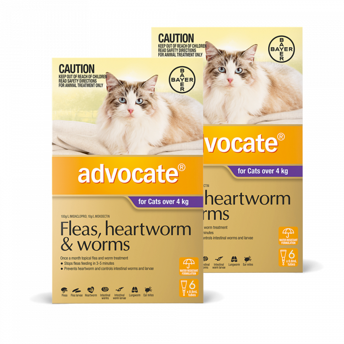 Two boxes of Advocate and Vocate for cats on a white background at Pet Servo