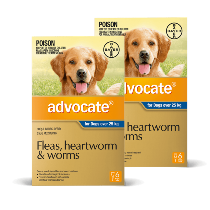 Two boxes of Advocate for dogs over 25 kg on a white background at Pet Servo