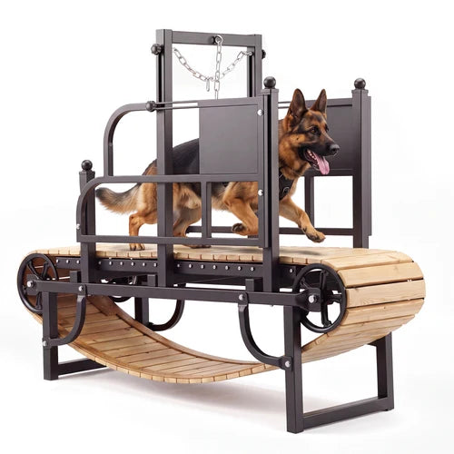 A German Shepherd dog is running on a metal and wood agility track with a climbing wall and chain barrier, photographed on a clean white background at Pet Servo