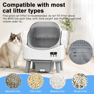 Cat litter box with a cat next to it, showing different types of cat litter at Pet Servo