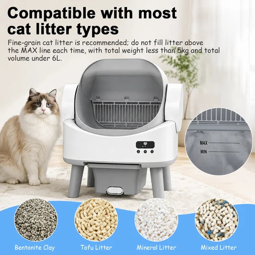 Cat litter box with a cat next to it, showing different types of cat litter at Pet Servo