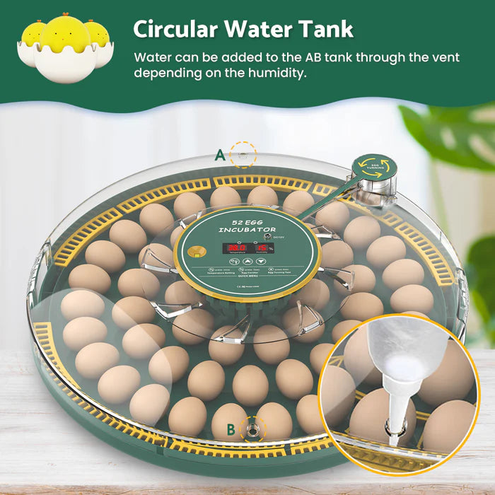 Egg incubator with circular water tank design, showing eggs and control panel.