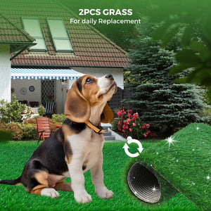 A beagle puppy wearing a tan collar sits in a landscaped yard while grass replacement rolls are shown at the bottom right, with text reading '2PCS GRASS For daily Replacement' at Pet Servo