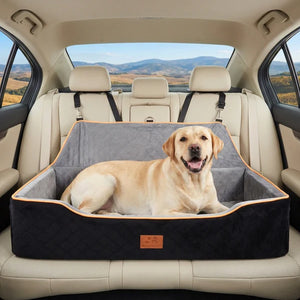 Dog sitting on a pet bed in the back of a car with a scenic view outside at et Servo