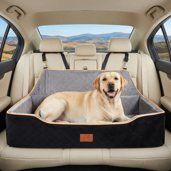 Dog sitting on a pet bed in the back of a car with a scenic view outside at et Servo
