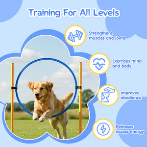 Dog jumping through a hoop with training benefits displayed on a blue background at Pet Servo