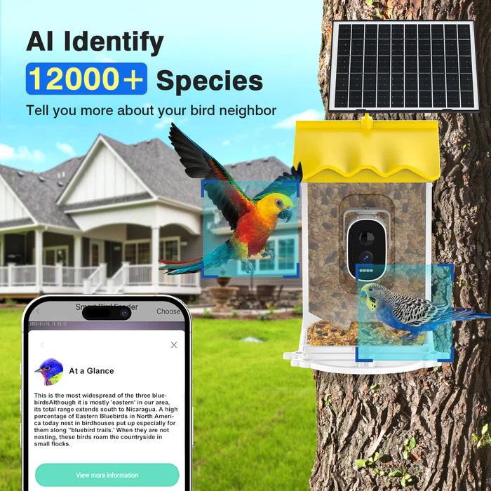 Shop Advwin Smart Bird Feeder with Camera AI Recognition at Pet Servo image 1