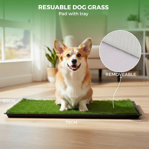 Dog sitting on a resuable dog grass pad with tray in a home setting  at Pet Servo