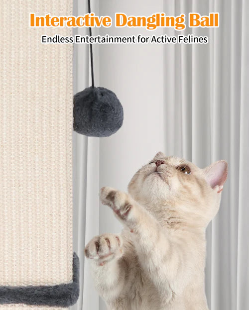 Cat playing with an interactive dangling ball toy against a neutral background at Pet Servo