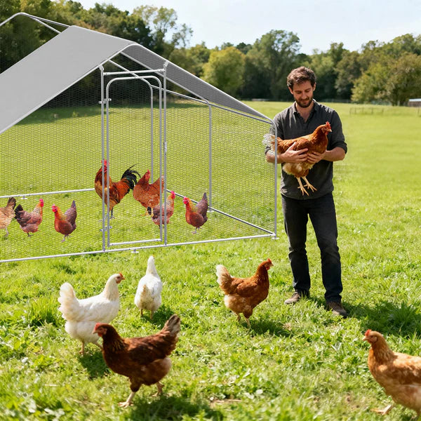 Man holding a chicken next to a metal chicken coop in a grassy field with chickens around.