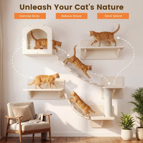 A wall-mounted cat climbing and play system in a bright living room, with several orange tabby cats using the shelves, ramp, perch, and climbing post. The scene includes marketing text at the top ('Unleash Your Cat's Nature' and feature callouts) and a chair and potted plants in the room at Pet Servo