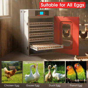 Collage of an incubator with eggs, chickens, ducks, and parrots, labeled 'Suitable for All Eggs' at Pet Servo