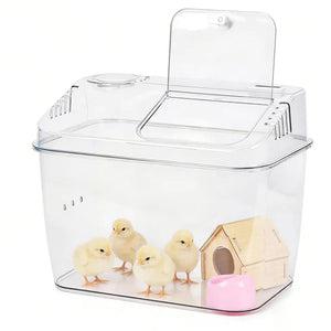 Clear chick brooder with small chicks and a wooden house inside on a white background at PetServo