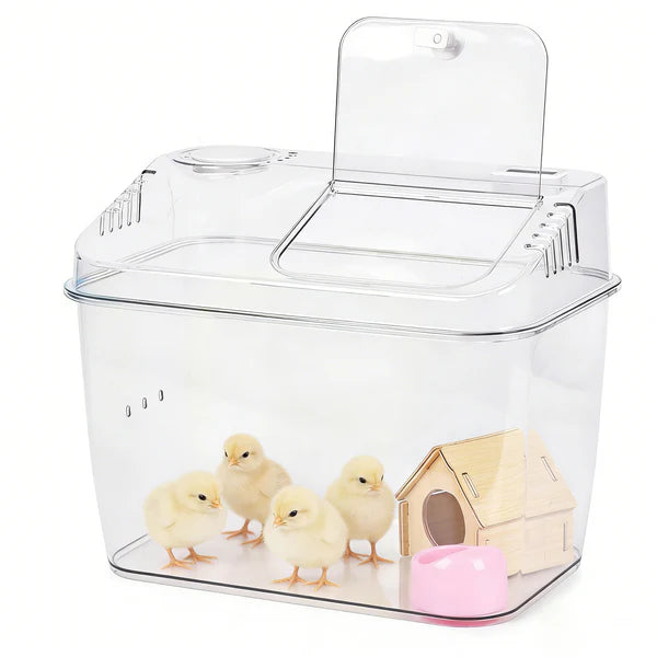 Clear chick brooder with small chicks and a wooden house inside on a white background at PetServo