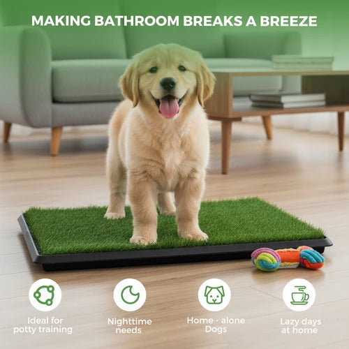 A golden retriever puppy stands on a rectangular green artificial grass dog pee pad in a living room setting. The image includes marketing text at the top and four feature icons at the bottom highlighting use cases for potty training, nighttime needs, home-alone dogs, and lazy days at home at Pet Servo