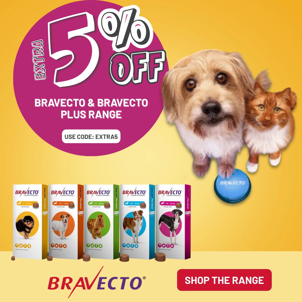 Promotional advertisement for Bravecto with a dog and cat, featuring an offer and product packaging at Pet Servo