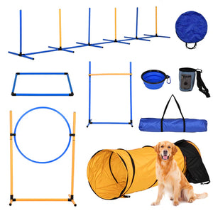 Dog agility training equipment set with a dog sitting next to a tunnel at Pet Servo