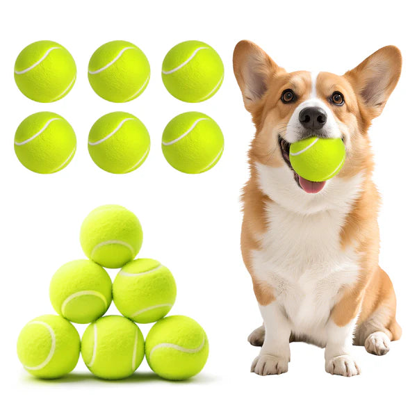 Advwin - 12 Pack Exercise Playing Balls for Pet Dog