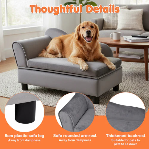 Dog lying on a gray pet sofa in a living room with thoughtful details highlighted at Pet Servo